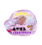 はるちゃん＆あんちゃん（個別スタンプ：7）