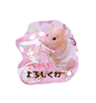 はるちゃん＆あんちゃん（個別スタンプ：11）