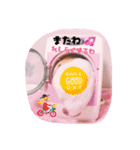 はるちゃん＆あんちゃん（個別スタンプ：13）