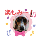 サナの日常会話5（個別スタンプ：6）