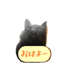 猫のひとことスタンプVol.1（個別スタンプ：2）