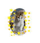 みらいへ羽ばたけ！（個別スタンプ：1）