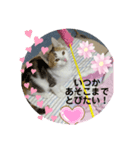 みらいへ羽ばたけ！（個別スタンプ：5）