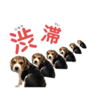 びーぐるとこっかー（個別スタンプ：20）