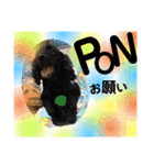 びーぐるとこっかー（個別スタンプ：23）