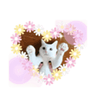 まゆにゃんず=^._.^=3（個別スタンプ：2）