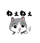 ねぇねぇねこ（個別スタンプ：1）
