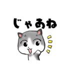 ねぇねぇねこ（個別スタンプ：4）