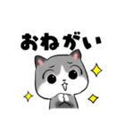 ねぇねぇねこ（個別スタンプ：5）