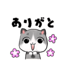 ねぇねぇねこ（個別スタンプ：8）