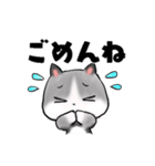 ねぇねぇねこ（個別スタンプ：10）