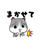 ねぇねぇねこ（個別スタンプ：14）
