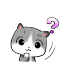 ねぇねぇねこ（個別スタンプ：21）