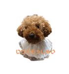 moco.moco.（個別スタンプ：2）