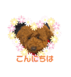moco.moco.（個別スタンプ：4）