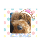 moco.moco.（個別スタンプ：5）