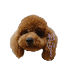 moco.moco.（個別スタンプ：11）