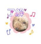 moco.moco.（個別スタンプ：13）