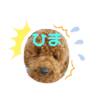 moco.moco.（個別スタンプ：14）