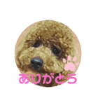 moco.moco.（個別スタンプ：16）