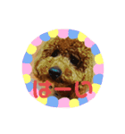 moco.moco.（個別スタンプ：21）
