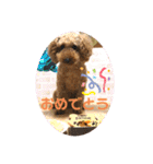 moco.moco.（個別スタンプ：23）