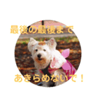 受験生 へ応援（個別スタンプ：1）