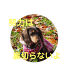 受験生 へ応援（個別スタンプ：2）