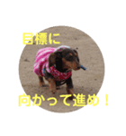 受験生 へ応援（個別スタンプ：4）