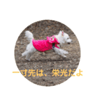 受験生 へ応援（個別スタンプ：7）