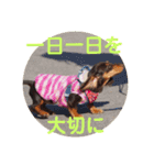 受験生 へ応援（個別スタンプ：10）