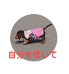 受験生 へ応援（個別スタンプ：14）