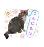 ももちゃんスタンプThree（個別スタンプ：2）