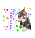 ももちゃんスタンプThree（個別スタンプ：5）