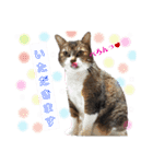 ももちゃんスタンプThree（個別スタンプ：9）