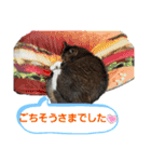 ももちゃんスタンプThree（個別スタンプ：10）