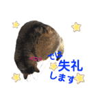 ももちゃんスタンプThree（個別スタンプ：16）