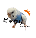 めがねくんと丸顔ちゃん。（個別スタンプ：3）