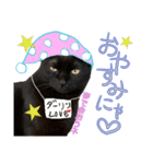 黒猫、名は黒蜜2（個別スタンプ：2）