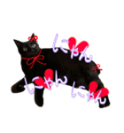 黒猫、名は黒蜜2（個別スタンプ：3）