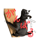 黒猫、名は黒蜜2（個別スタンプ：4）