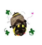 黒猫、名は黒蜜2（個別スタンプ：6）