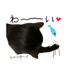 黒猫、名は黒蜜2（個別スタンプ：7）