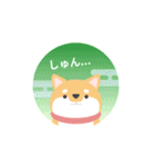 和風 柴犬スタンプ -SHIBAINU SHIBASAN -（個別スタンプ：24）