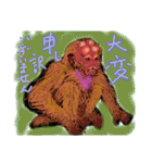 幻くんとその環境（個別スタンプ：13）