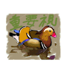 幻くんとその環境（個別スタンプ：14）
