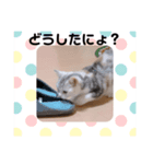 おだんごの日々ver1（個別スタンプ：2）
