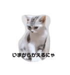 おだんごの日々ver1（個別スタンプ：4）