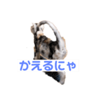 おだんごの日々ver1（個別スタンプ：7）
