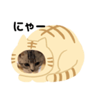 おだんごの日々ver1（個別スタンプ：8）